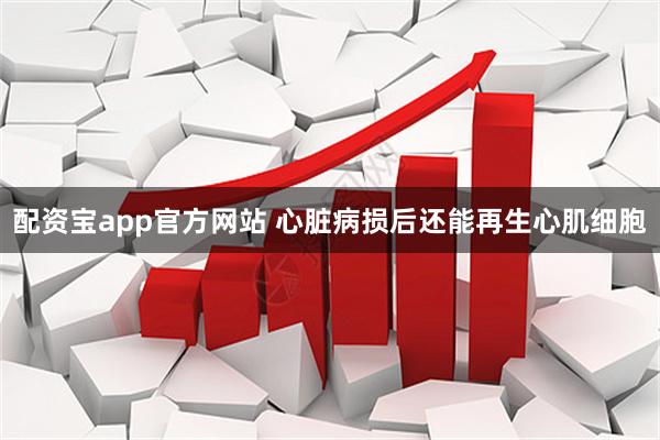 配资宝app官方网站 心脏病损后还能再生心肌细胞